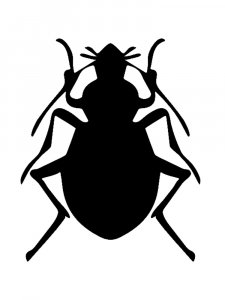 Трафарет Жука 18