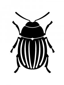 Трафарет Жука 19