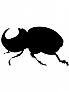 Трафарет Жука 20