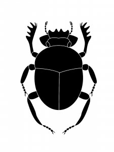 Трафарет Жука 21
