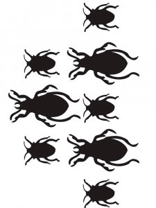 Трафарет Жука 4