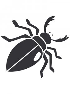 Трафарет Жука 6