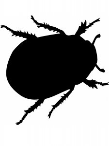 Трафарет Жука 9