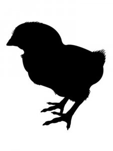 Трафарет Цыпленка 1