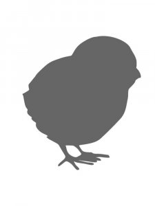 Трафарет Цыпленка 9