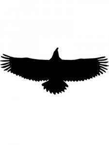 Трафарет Орла 1