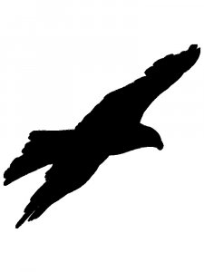 Трафарет Орла 11