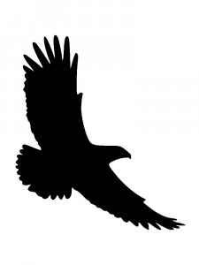 Трафарет Орла 9