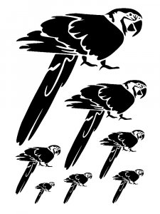 Трафарет Попугая 10