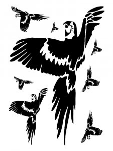 Трафарет Попугая 11