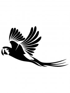 Трафарет Попугая 15