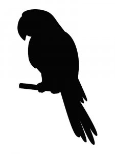Трафарет Попугая 18