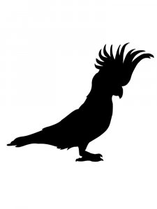 Трафарет Попугая 19