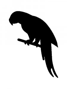 Трафарет Попугая 2