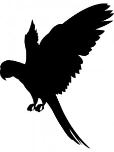 Трафарет Попугая 21