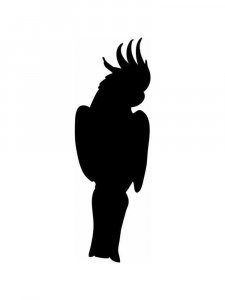 Трафарет Попугая 7