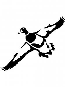 Трафарет Утки 14