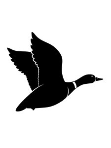 Трафарет Утки 15