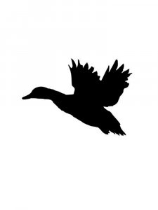 Трафарет Утки 2