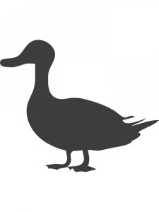 Трафарет Утки 6