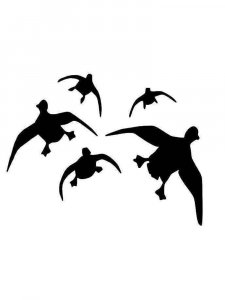 Трафарет Утки 7