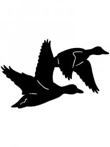 Трафарет Утки 8