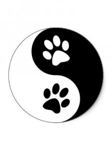 Трафарет Лапы 3