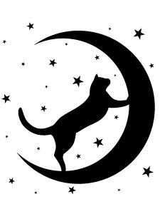 Трафарет Месяца 20