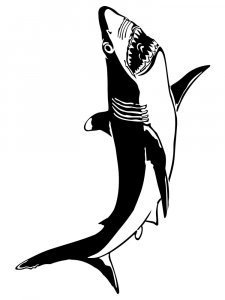 Трафарет Акулы 12