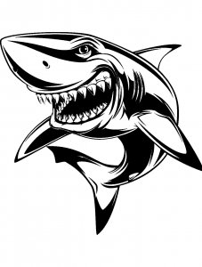 Трафарет Акулы 19
