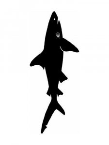 Трафарет Акулы 2