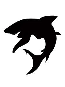 Трафарет Акулы 26