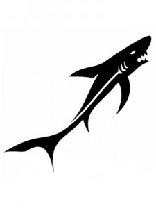 Трафарет Акулы 4