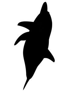 Трафарет Дельфина 10
