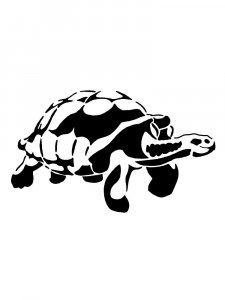 Трафарет Черепахи 1