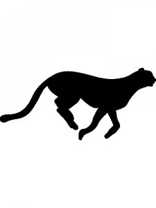 Трафарет Диких Животных 13