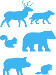 Трафарет Диких Животных 15