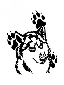 Трафарет Диких Животных 17