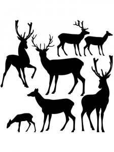 Трафарет Диких Животных 18