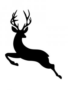 Трафарет Диких Животных 20