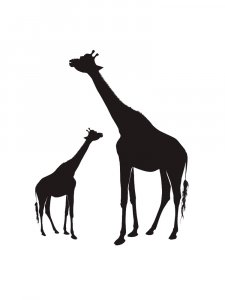 Трафарет Диких Животных 23