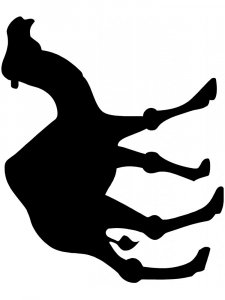 Трафарет Диких Животных 32