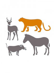 Трафарет Диких Животных 43