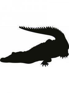 Трафарет Диких Животных 6