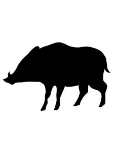 Трафарет Кабана 1