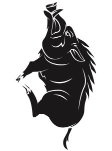 Трафарет Кабана 20