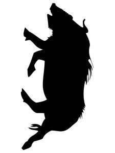 Трафарет Кабана 5