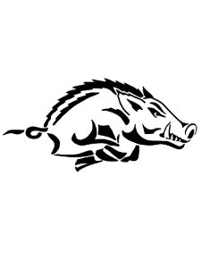 Трафарет Кабана 8