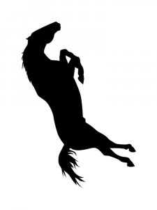 Трафарет Лошади 11