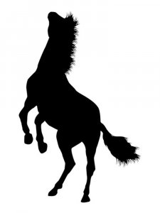 Трафарет Лошади 12
